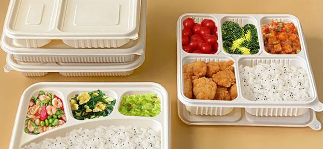 Does adding the prefix "biodegradable" make single-use plastic lunch boxes environmentally friendly?